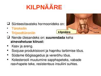 SISENÕRENÄÄRMED e-ENDOKRIINELUNDID #9