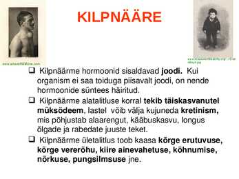 SISENÕRENÄÄRMED e-ENDOKRIINELUNDID #10