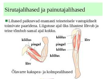 Lihased #11