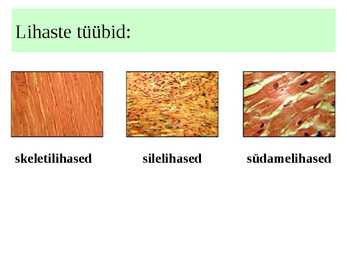 Lihased #3