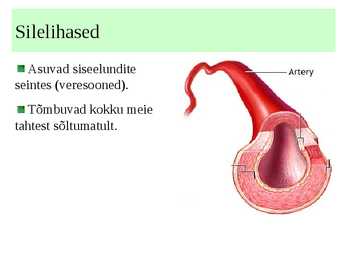 Lihased #5