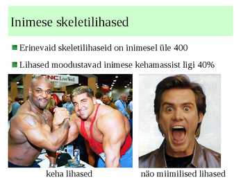 Lihased #6