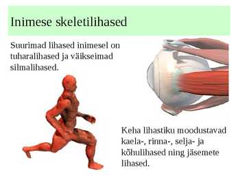 Lihased #8