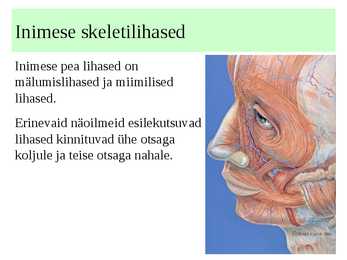 Lihased #9