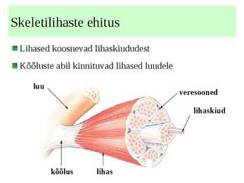 Lihased #10