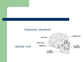 INIMESE LUUD JA LIIGESED #8
