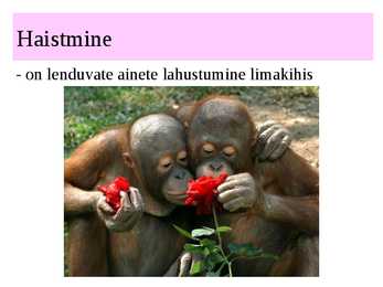 MAITSMINE-HAISTMINE-KOMPIMINE #11