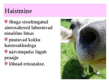 MAITSMINE-HAISTMINE-KOMPIMINE #12