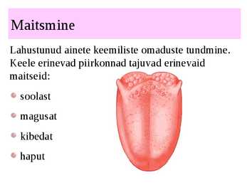 MAITSMINE-HAISTMINE-KOMPIMINE #6