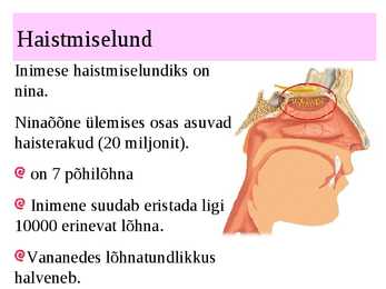 MAITSMINE-HAISTMINE-KOMPIMINE #9