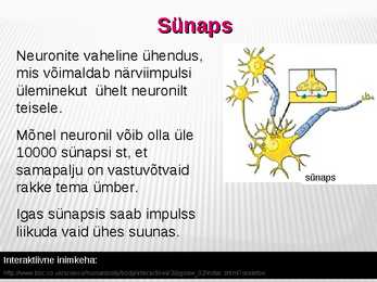 Närvirakud #4