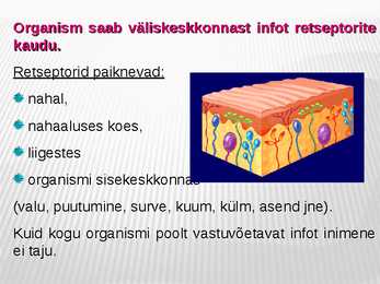 Närvirakud #6