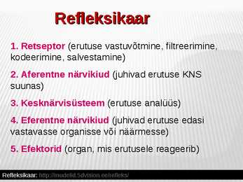 Närvirakud #7