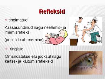 Närvirakud #9