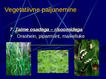 Paljunemine #12
