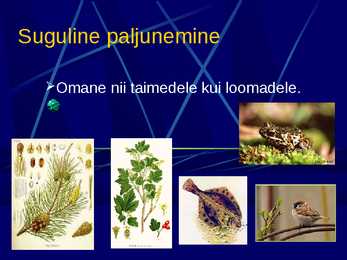 Paljunemine #15