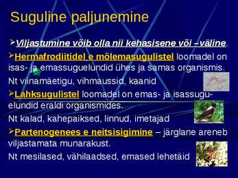 Paljunemine #16