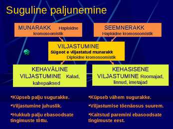 Paljunemine #17