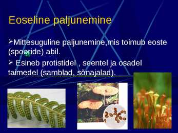 Paljunemine #4