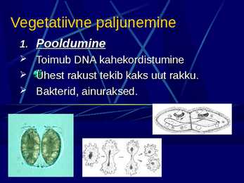 Paljunemine #5
