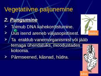 Paljunemine #6
