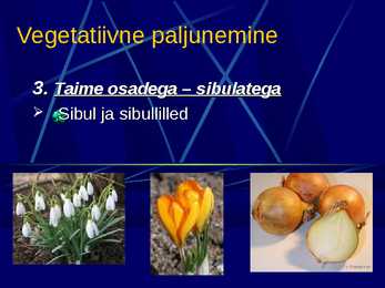 Paljunemine #7