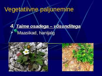 Paljunemine #8