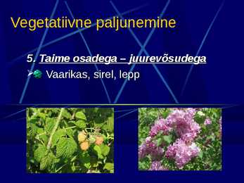 Paljunemine #9