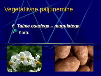 Paljunemine #10
