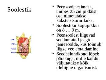 Seedeelundkond #13