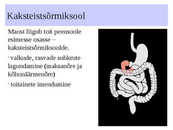 Seedeelundkond #16