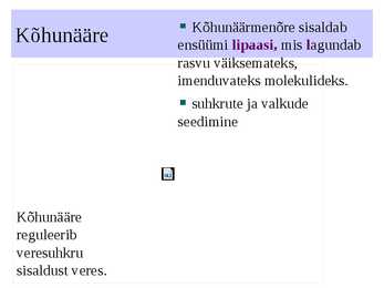 Seedeelundkond #18