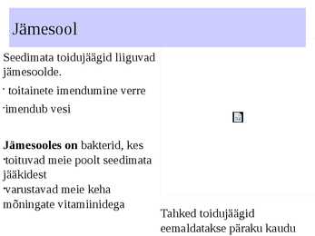 Seedeelundkond #19