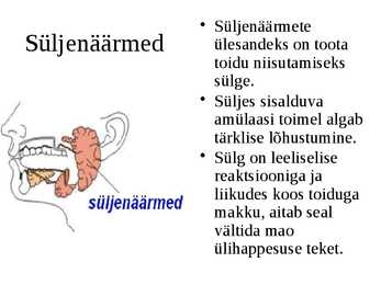 Seedeelundkond #8