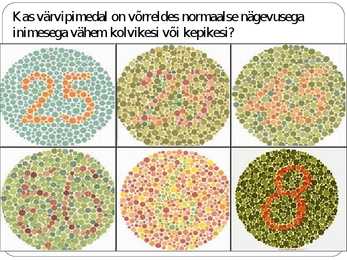 SILM JA NÄGEMINE #13