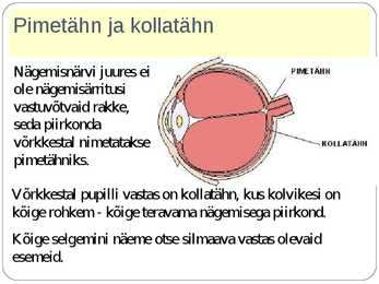 SILM JA NÄGEMINE #5