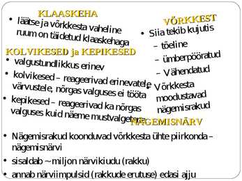 SILM JA NÄGEMINE #8