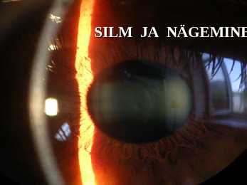 SILM JA NÄGEMINE
