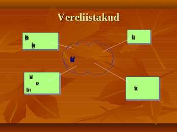 Vereringe-veri ja immunsüsteem #12
