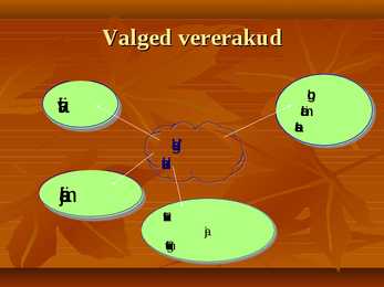 Vereringe-veri ja immunsüsteem #13