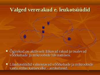 Vereringe-veri ja immunsüsteem #14