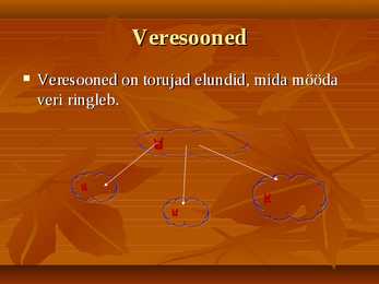 Vereringe-veri ja immunsüsteem #3