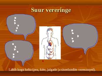 Vereringe-veri ja immunsüsteem #8