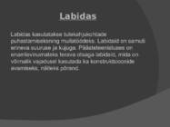 Pääste kääsitöövahendid #7