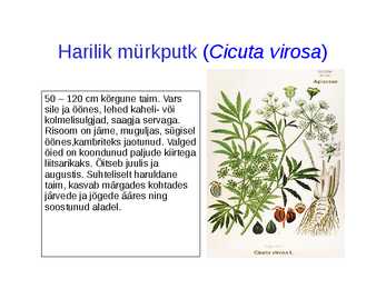 Taimsed mürgid #9