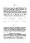 Pesapall #4