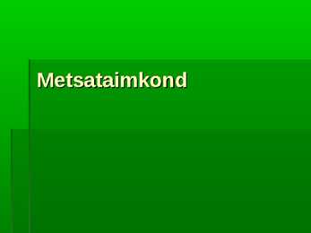 Metsad #12