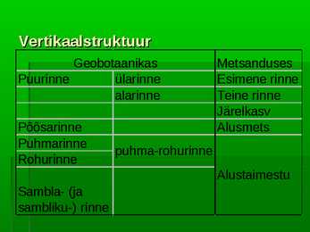Metsad #13