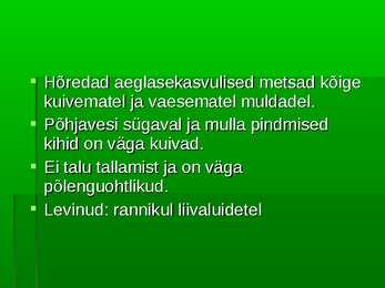 Metsad #23