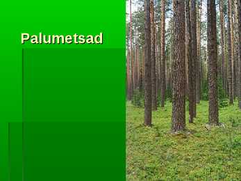 Metsad #27
